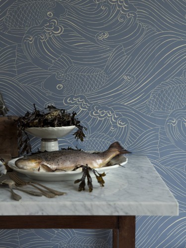 PlentyMoreFish12-54 WashedDenim31