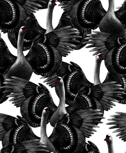 slb swan-lake white wallpaper