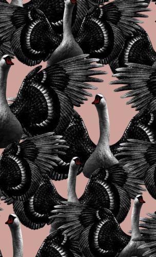 slb swan lake pink wallpaper 1174